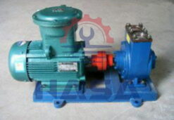 Bơm cánh gạt trượt YPB