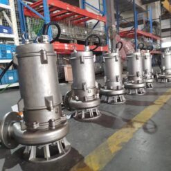 Máy bơm chìm nước thải Paragon 65 WQ 30-60-15S