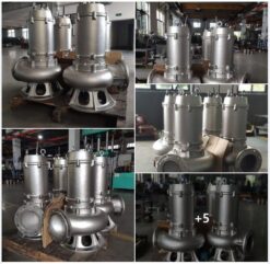 Máy bơm chìm nước thải Paragon 300 WQ 800-12-45S4