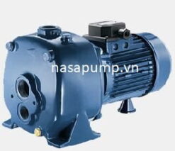 Bơm dân dụng PENTAX AP 200-2"