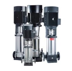 Bơm trục đứng CNP