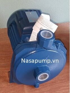 Bơm dân dụng PENTAX CMT 100