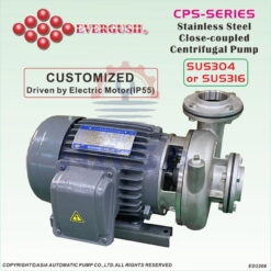 Máy bơm ly tâm Evergush CP-22.2H