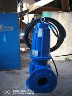 Bơm nước thải PENTAX DMT 310