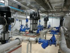 Máy bơm ly tâm trục đứng Paragon CDM 10-12