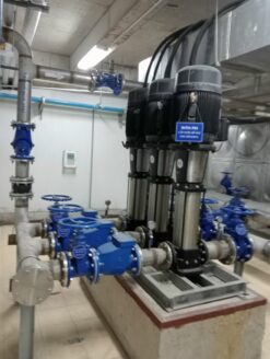 Máy bơm ly tâm trục đứng Paragon CDL 150-60-1