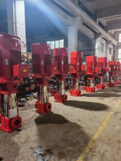 Máy bơm ly tâm trục đứng Paragon CDM 5-4