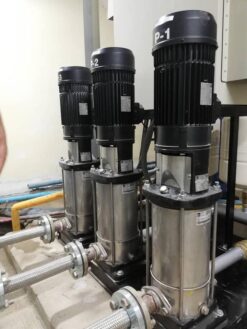 Máy bơm ly tâm trục đứng Paragon CDM 15-1