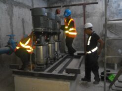 Máy bơm ly tâm trục đứng Paragon CDL 90-50