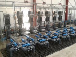 Máy bơm ly tâm trục đứng Paragon CDL 45-70
