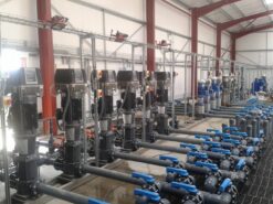 Máy bơm ly tâm trục đứng Paragon FV 4x7/1.5