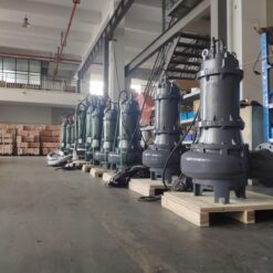 Máy bơm chìm nước thải Paragon 80 WQ 60-40-15/2