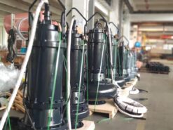 Máy bơm chìm nước thải Paragon 200 WQ 300-40-55/4