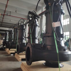 Máy bơm chìm nước thải Paragon 200 WQAS 200-20-22/2