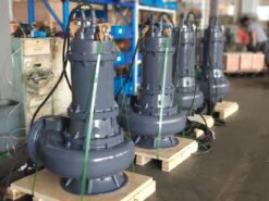 Máy bơm chìm nước thải Paragon 200 WQ 400-25-45/4