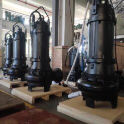 Máy bơm chìm nước thải Paragon 200 WQAS 300-55-110/4