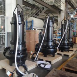 Máy bơm chìm nước thải Paragon 250 WQAS 500-10-30/4
