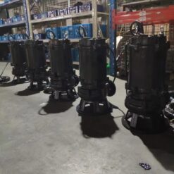 Máy bơm chìm nước thải Paragon 50 WQV 10-10-0.75