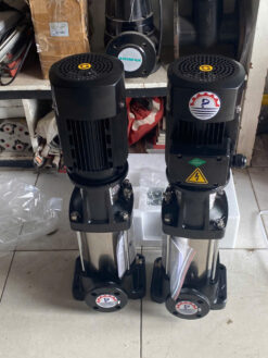 Máy bơm trục đứng Paragon CDLF2-11FSWPR