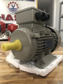 Động cơ điện Guanglu GL-632-4