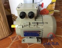 Động cơ điện Guanglu GL 712-2