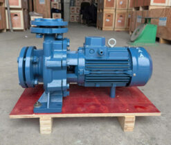 Bơm Ly Tâm Paragon CM Series